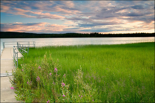 4.8 Acres of Alaska Land for Sale