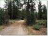 Oregon Land For Sale - Oregon Land Auctions - BillyLand.com