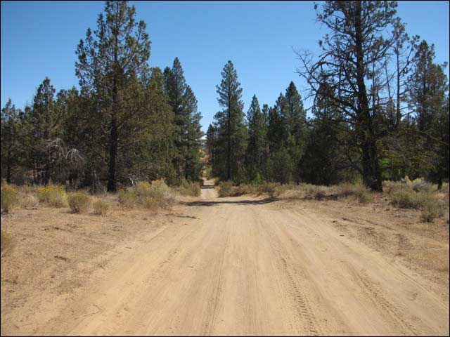 Oregon Land for Sale - Oregon Land Auctions - BillyLand.com