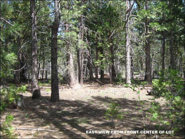 Oregon Land for Sale - Oregon Land Auction (ended on Fri Mar-8-24 1:01: ...