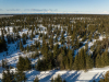 1 Acre Alaska Land