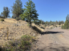 1.2 Acres California Land