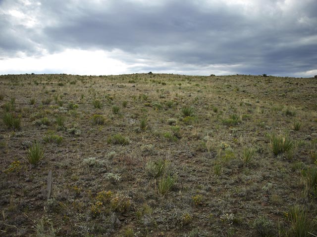 Colorado Land for Sale - Colorado Land Auction (ended on Fri Mar-1-24 4 ...